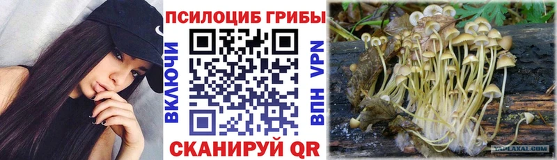 Псилоцибиновые грибы Psilocybine cubensis Салават